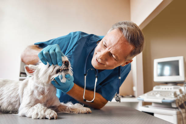 Best Emergency Tooth Extraction  in Putney, GA